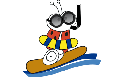 Sommerferienkurs – Theorie am Abend